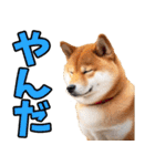 宮城仙台弁☆柴犬（個別スタンプ：8）