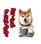 宮城仙台弁☆柴犬（個別スタンプ：11）