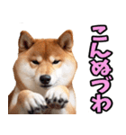 宮城仙台弁☆柴犬（個別スタンプ：15）