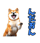 宮城仙台弁☆柴犬（個別スタンプ：18）