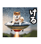 宮城仙台弁☆柴犬（個別スタンプ：21）