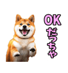 宮城仙台弁☆柴犬（個別スタンプ：39）