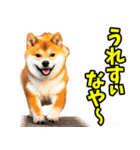 宮城仙台弁☆柴犬（個別スタンプ：40）