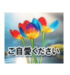 夢のクリスマス☆年末年始（個別スタンプ：8）