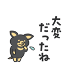 凹むトラネコ、励ますチワワ（個別スタンプ：5）