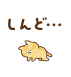 凹むトラネコ、励ますチワワ（個別スタンプ：22）