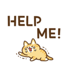 凹むトラネコ、励ますチワワ（個別スタンプ：24）