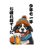 可愛いバーニーズBIG年末年始（個別スタンプ：1）