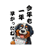 可愛いバーニーズBIG年末年始（個別スタンプ：2）