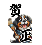 可愛いバーニーズBIG年末年始（個別スタンプ：3）