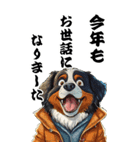 可愛いバーニーズBIG年末年始（個別スタンプ：4）