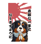 可愛いバーニーズBIG年末年始（個別スタンプ：5）