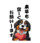 可愛いバーニーズBIG年末年始（個別スタンプ：6）