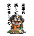 可愛いバーニーズBIG年末年始（個別スタンプ：7）