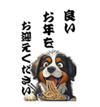 可愛いバーニーズBIG年末年始（個別スタンプ：8）