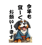 可愛いバーニーズBIG年末年始（個別スタンプ：9）