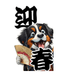 可愛いバーニーズBIG年末年始（個別スタンプ：11）