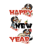 可愛いバーニーズBIG年末年始（個別スタンプ：13）