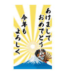 可愛いバーニーズBIG年末年始（個別スタンプ：16）
