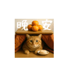 小花達のクリスマスと正月（台湾華語）（個別スタンプ：3）