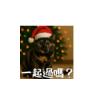 小花達のクリスマスと正月（台湾華語）（個別スタンプ：8）