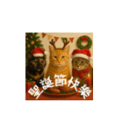 小花達のクリスマスと正月（台湾華語）（個別スタンプ：9）