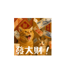 小花達のクリスマスと正月（台湾華語）（個別スタンプ：12）