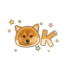 柴ポメ(柴犬×ポメラニアン)ミックスの毎日（個別スタンプ：1）