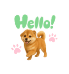 柴ポメ(柴犬×ポメラニアン)ミックスの毎日（個別スタンプ：4）