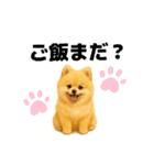 柴ポメ(柴犬×ポメラニアン)ミックスの毎日（個別スタンプ：13）