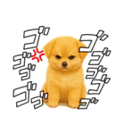 柴ポメ(柴犬×ポメラニアン)ミックスの毎日（個別スタンプ：16）