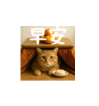 小花達病気中（台湾華語）（個別スタンプ：1）