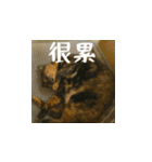小花達病気中（台湾華語）（個別スタンプ：6）