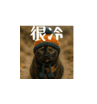 小花達病気中（台湾華語）（個別スタンプ：7）