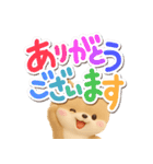 ちびポメラニアン【3D】冬・あけおめ（個別スタンプ：13）