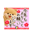 ちびポメラニアン【3D】冬・あけおめ（個別スタンプ：31）