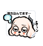 ゆるだる犬【たろ犬】メッセージスタンプ7（個別スタンプ：6）