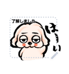ゆるだる犬【たろ犬】メッセージスタンプ7（個別スタンプ：14）