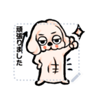 ゆるだる犬【たろ犬】メッセージスタンプ7（個別スタンプ：16）