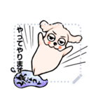ゆるだる犬【たろ犬】メッセージスタンプ7（個別スタンプ：19）