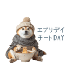 冬のおデブな柴犬【ダイエット・面白い】（個別スタンプ：1）