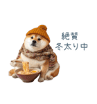 冬のおデブな柴犬【ダイエット・面白い】（個別スタンプ：4）