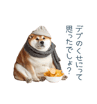 冬のおデブな柴犬【ダイエット・面白い】（個別スタンプ：6）