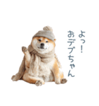 冬のおデブな柴犬【ダイエット・面白い】（個別スタンプ：9）