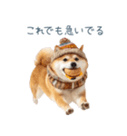 冬のおデブな柴犬【ダイエット・面白い】（個別スタンプ：11）