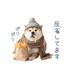 冬のおデブな柴犬【ダイエット・面白い】（個別スタンプ：12）