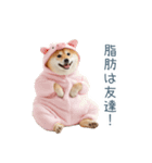冬のおデブな柴犬【ダイエット・面白い】（個別スタンプ：13）
