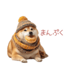 冬のおデブな柴犬【ダイエット・面白い】（個別スタンプ：14）