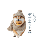 冬のおデブな柴犬【ダイエット・面白い】（個別スタンプ：15）