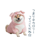 冬のおデブな柴犬【ダイエット・面白い】（個別スタンプ：17）